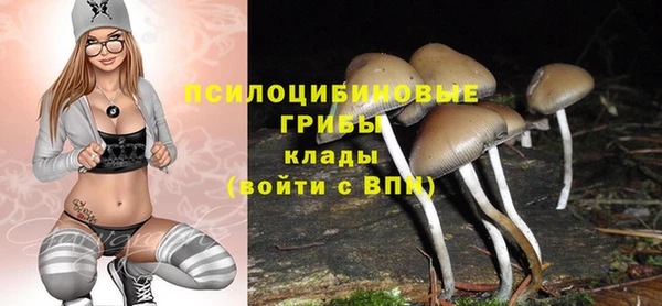 трава Абдулино