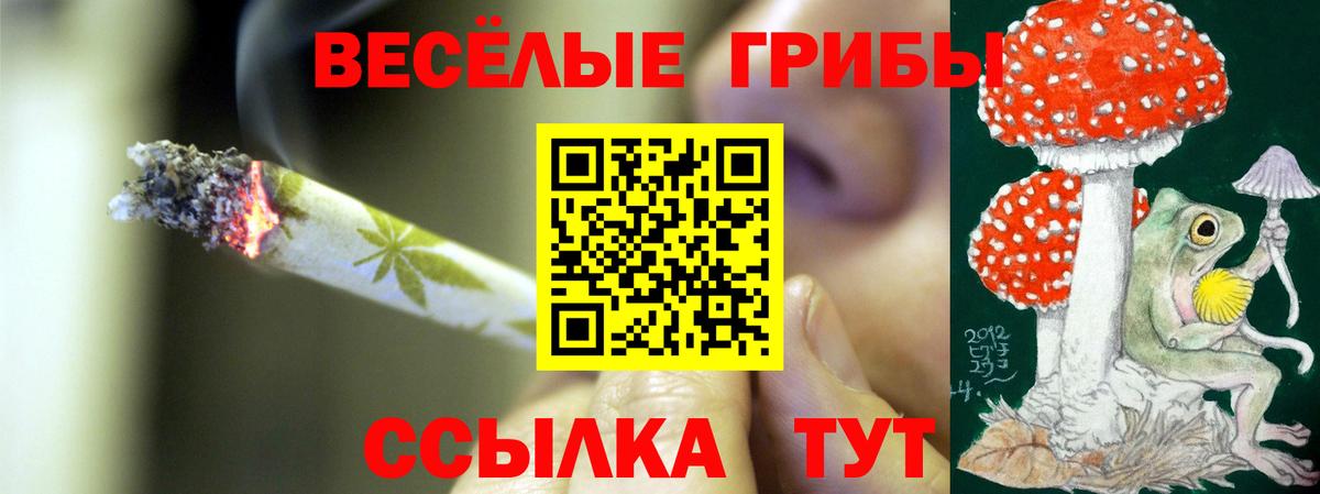 Псилоцибиновые грибы Psilocybe  Вход с VPN  Псилоцибиновые грибы Psilocybine cubensis  Пенза 